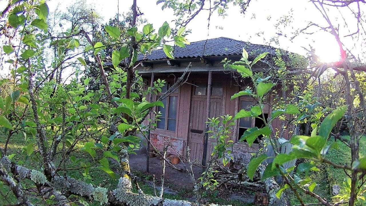 Surmava Palace Martvili Exteriér fotografie